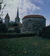 Толстая Маргарита