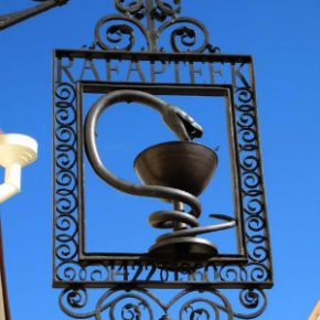 Аптечная гадюка в Таллине