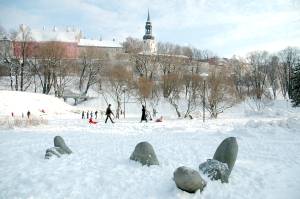 Красавица у пруда Шнелли притаилась под снегом.