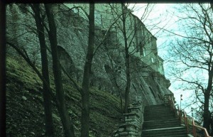 Лестница Паткула. Когда-то деревья тут были большими...