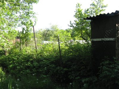 IMG_8227