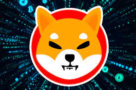 SHIBA INU COIN TALLINN ESTONIA