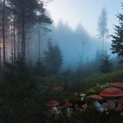 Об уникальной культурной среде Каламая — от средневекового предместья до рабочего района