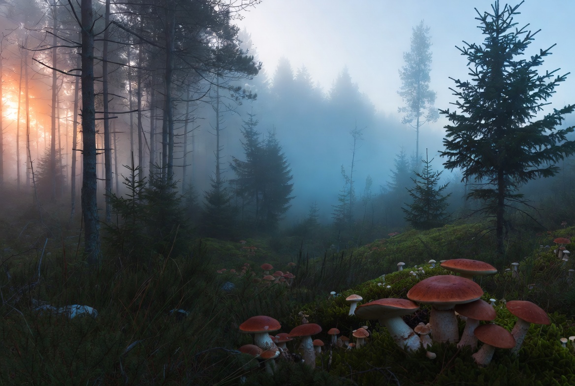 Об уникальной культурной среде Каламая — от средневекового предместья до рабочего района