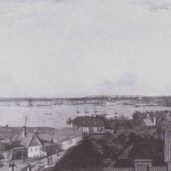 Каламая после Крымской войны: восстановление района, новые улицы и благоустройство