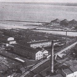 Снабжение армии и тыловое обеспечение в Каламая во время войны за независимость