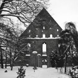 Руины средневековой обители. Монастырь Святой Бригитты в Пирита.