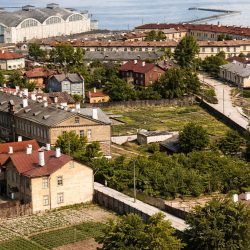 Крупнейшие промышленные предприятия Каламая в 1930-е годы: адаптация к новым условиям и развитие производства